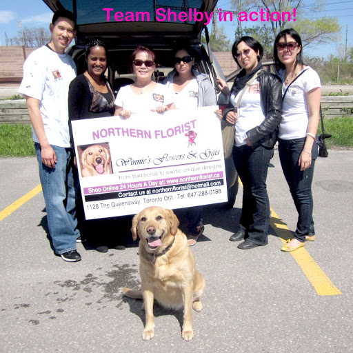 Team Shelby